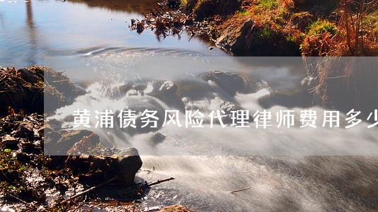 黄浦债务风险代理律师费用多少 黄浦债务风险代理律师费用多少