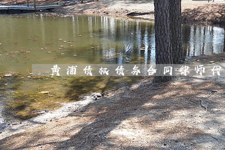 黄浦债权债务合同律师代理费 黄浦债权债务合同律师代理费