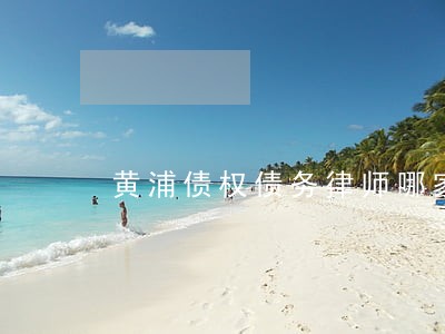 黄浦债权债务律师哪家好 黄浦债权债务律师哪家好