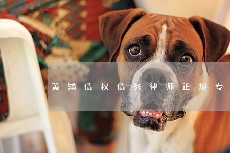 黄浦债权债务律师正规专业律所 黄浦债权债务律师正规专业律所
