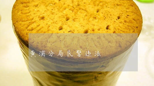黄浦分局民警违法 黄浦分局民警违法