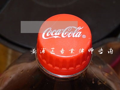黄浦区专业律师咨询 黄浦区专业律师咨询