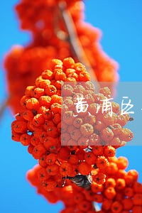 黄浦区专业离婚房产纠纷律师规定 黄浦区专业离婚房产纠纷律师规定