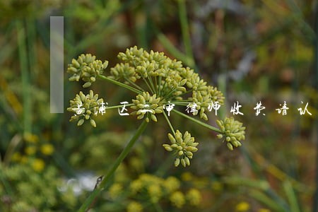 黄浦区二审律师收费请认准 黄浦区二审律师收费请认准