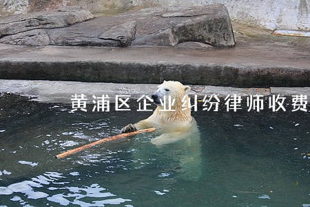 黄浦区企业纠纷律师收费标准 黄浦区企业纠纷律师收费标准