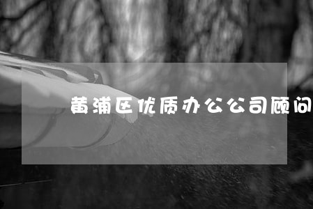 黄浦区优质办公公司顾问律师 黄浦区优质办公公司顾问律师