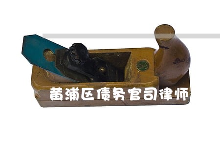 黄浦区债务官司律师微信咨询 黄浦区债务官司律师微信咨询
