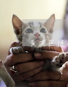 黄浦区债务官司律师电话咨询 黄浦区债务官司律师电话咨询