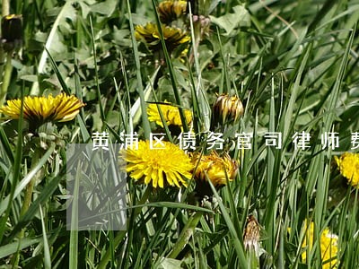 黄浦区债务官司律师费用多少