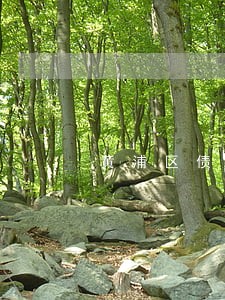 黄浦区债务律师在线咨询 黄浦区债务律师在线咨询
