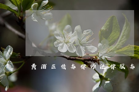 黄浦区债务律师法律服务怎么样 黄浦区债务律师法律服务怎么样