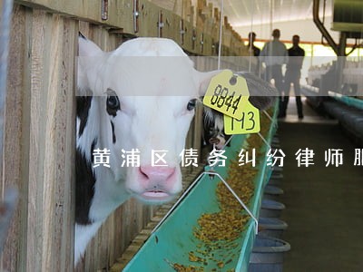 黄浦区债务纠纷律师服务咨询