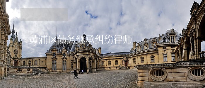 黄浦区债务继承纠纷律师 黄浦区债务继承纠纷律师