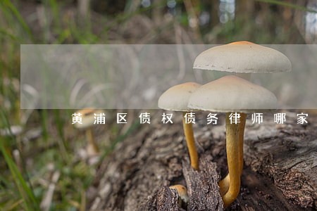黄浦区债权债务律师哪家比较好 黄浦区债权债务律师哪家比较好