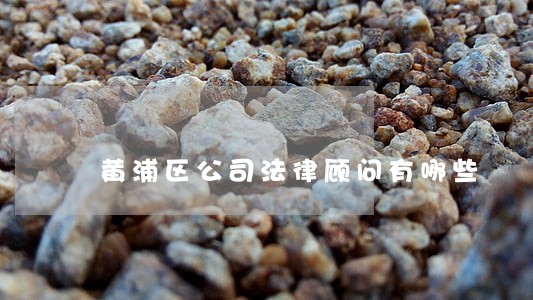 黄浦区公司法律顾问有哪些 黄浦区公司法律顾问有哪些