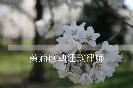 黄浦区动迁款律师 黄浦区动迁款律师