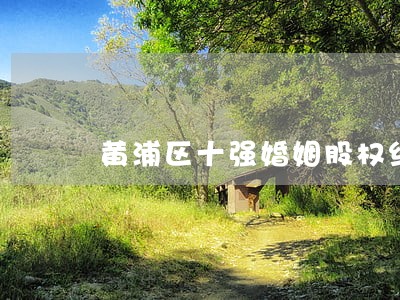 黄浦区十强婚姻股权纠纷律师规定
