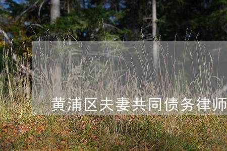 黄浦区夫妻共同债务律师 黄浦区夫妻共同债务律师