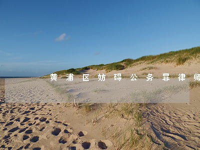 黄浦区妨碍公务罪律师有哪些 黄浦区妨碍公务罪律师有哪些