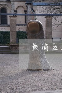 黄浦区委托合同纠纷律师代理 黄浦区委托合同纠纷律师代理