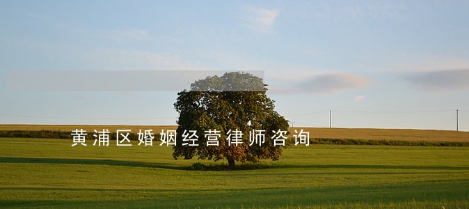 黄浦区婚姻经营律师咨询 黄浦区婚姻经营律师咨询