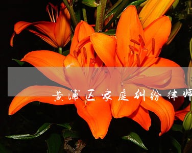 黄浦区家庭纠纷律师收费