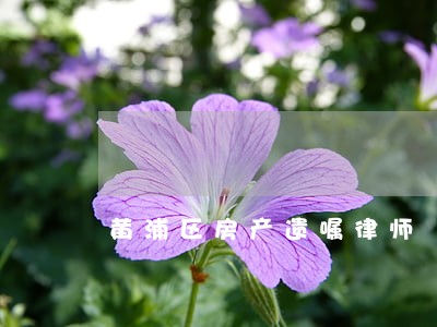 黄浦区房产遗嘱律师 黄浦区房产遗嘱律师