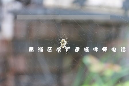 黄浦区房产遗嘱律师电话 黄浦区房产遗嘱律师电话