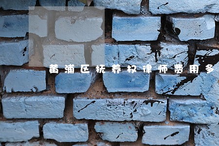 黄浦区抚养权律师费用多少 黄浦区抚养权律师费用多少