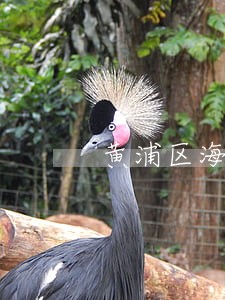 黄浦区海事海商律师在线免费咨询 黄浦区海事海商律师在线免费咨询