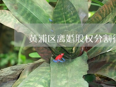 黄浦区离婚股权分割律师哪个好 黄浦区离婚股权分割律师哪个好