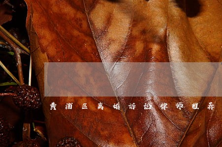 黄浦区离婚诉讼律师推荐