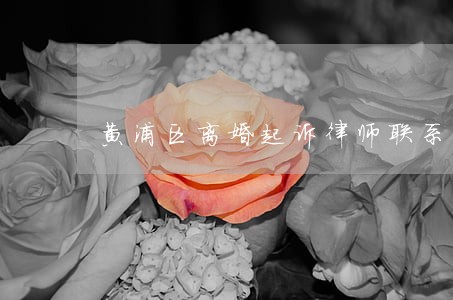 黄浦区离婚起诉律师联系方式 黄浦区离婚起诉律师联系方式
