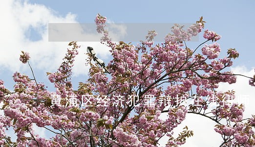 黄浦区经济犯罪辩护在线律师