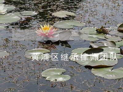 黄浦区继承律师团队 黄浦区继承律师团队