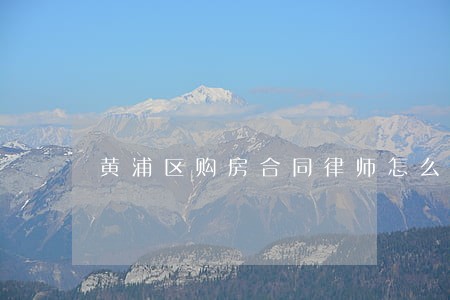 黄浦区购房合同律师怎么收费 黄浦区购房合同律师怎么收费