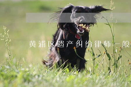 黄浦区遗产纠纷律师一般怎么收费