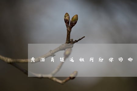 黄浦商铺返租纠纷律师哪家合适 黄浦商铺返租纠纷律师哪家合适