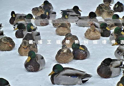 黄浦工程劳务纠纷律师咨询费用 黄浦工程劳务纠纷律师咨询费用