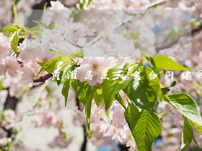 黄浦房屋买卖合同律师费用 黄浦房屋买卖合同律师费用