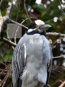 黄浦离婚债务律师费用 黄浦离婚债务律师费用