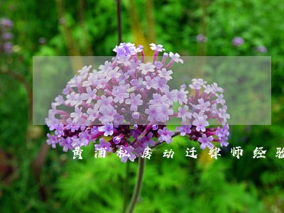 黄浦私房动迁律师经验丰富 黄浦私房动迁律师经验丰富