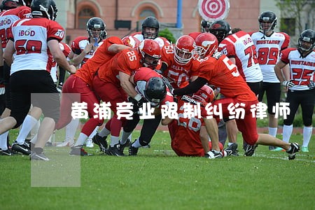 黄浦竞业限制纠纷律师