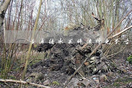 黄浦继承案件律师免费咨询 黄浦继承案件律师免费咨询