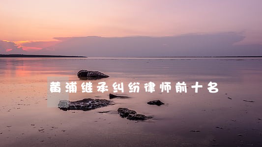 黄浦继承纠纷律师前十名 黄浦继承纠纷律师前十名