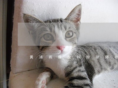 黄浦肖像权纠纷律师收费