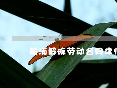 黄浦解除劳动合同律师电话