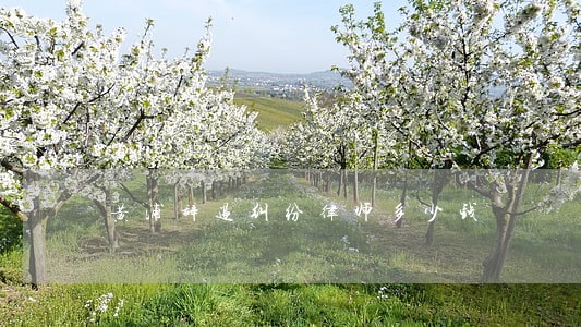 黄浦辞退纠纷律师多少钱 黄浦辞退纠纷律师多少钱