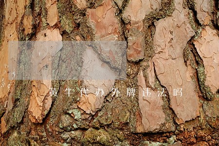 黄牛代办外牌违法吗