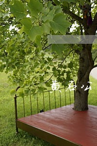 黄石公司法律师咨询电话 黄石公司法律师咨询电话